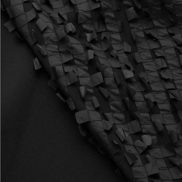 NWT COS Textured Applique Dress v neck wool blend sleeveless pocket black size 2 - Picture 14 of 15